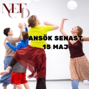 New Education for Contemporary Dance